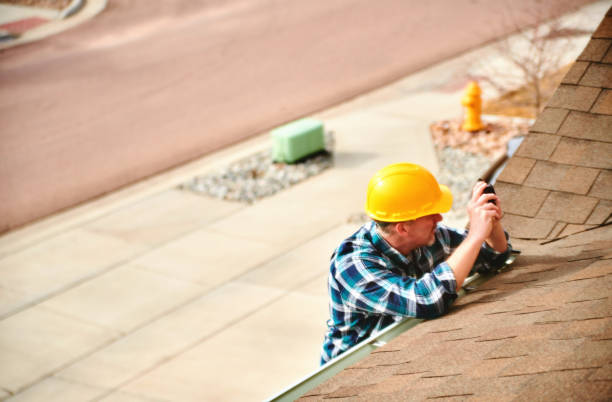 Best Roof Moss and Algae Removal  in Mitchell, IL